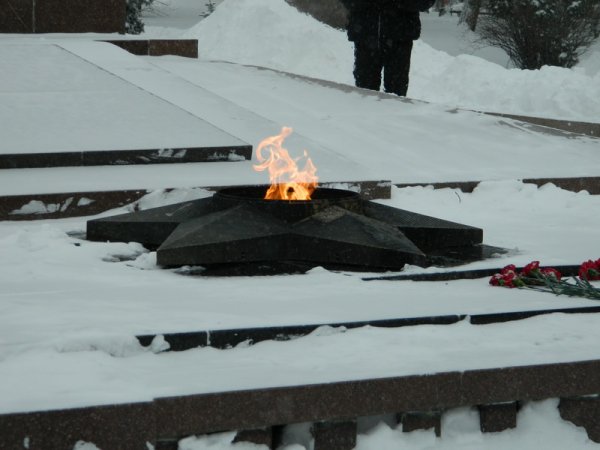 69-я годовщина Победы под Сталинградом