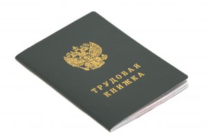 Минтруда РФ собирается перевести трудовые книжки в электронный формат