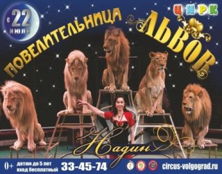 С 22 июля в Волгоградском цирке стартует новая шоу-программа  «ПОВЕЛИТЕЛЬНИЦА ЛЬВОВ»