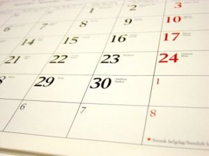 Минтруд подготовил проект постановления о переносе выходных дней в 2016 году
