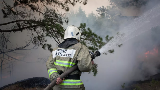 С 5 июля в Волгоградской области введут особый противопожарный режим